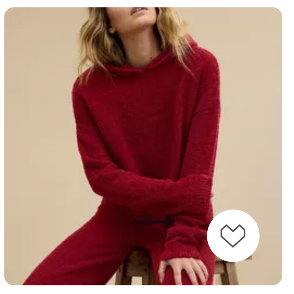 Aerie Marshmallow Hoodie